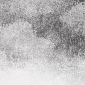 婷婷六月丁香花
