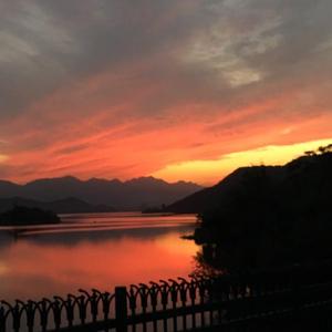 婷婷六月丁香花
