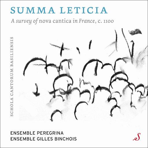 婷婷六月丁香花
